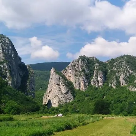 Appartement Odmaraliste Vlasko Zdrelo