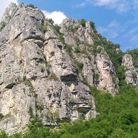 Odmaraliste Vlasko Zdrelo *