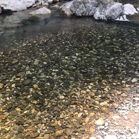 Appartement Odmaraliste Vlasko Zdrelo *