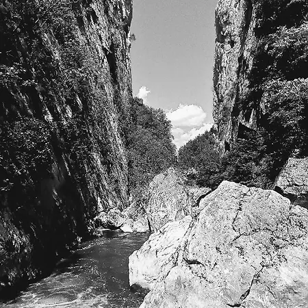 Odmaraliste Vlasko Zdrelo