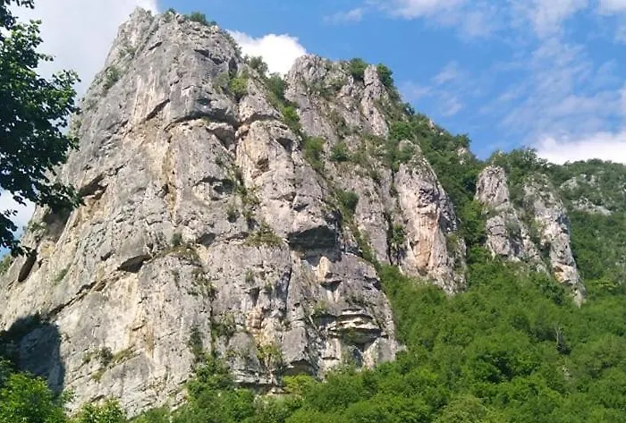 Odmaraliste Vlasko Zdrelo *