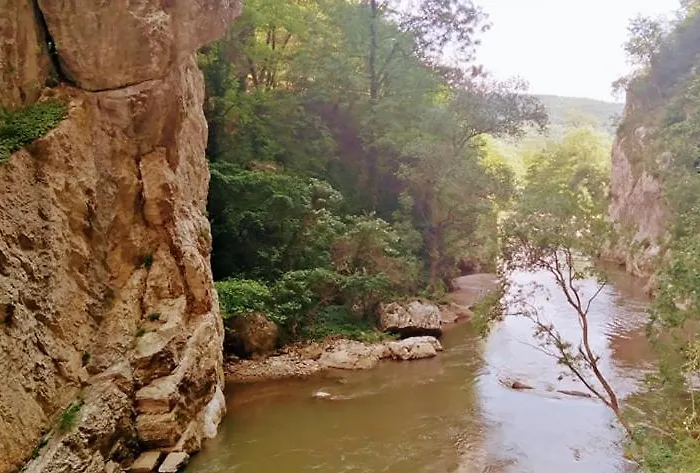 Odmaraliste Vlasko Zdrelo * Пирот