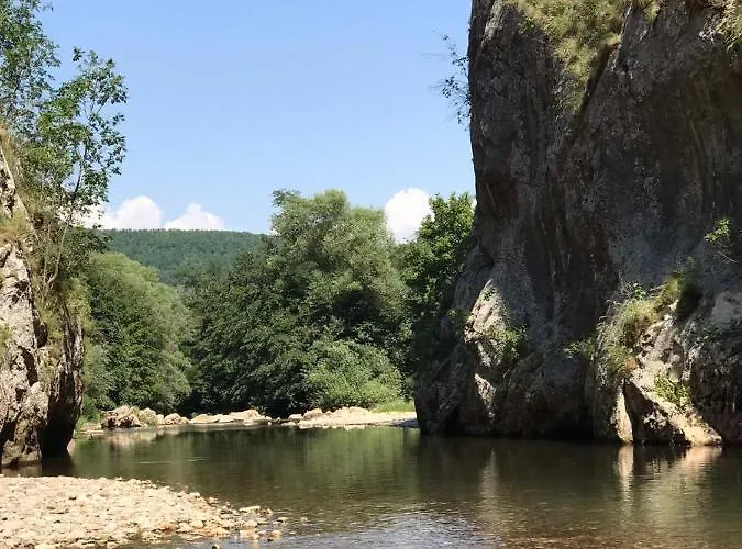 Апартаменты Odmaraliste Vlasko Zdrelo Пирот
