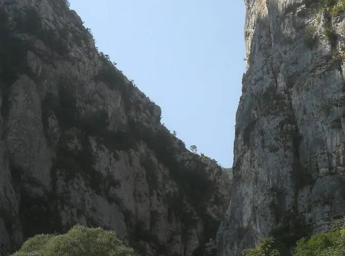 Odmaraliste Vlasko Zdrelo * Пирот