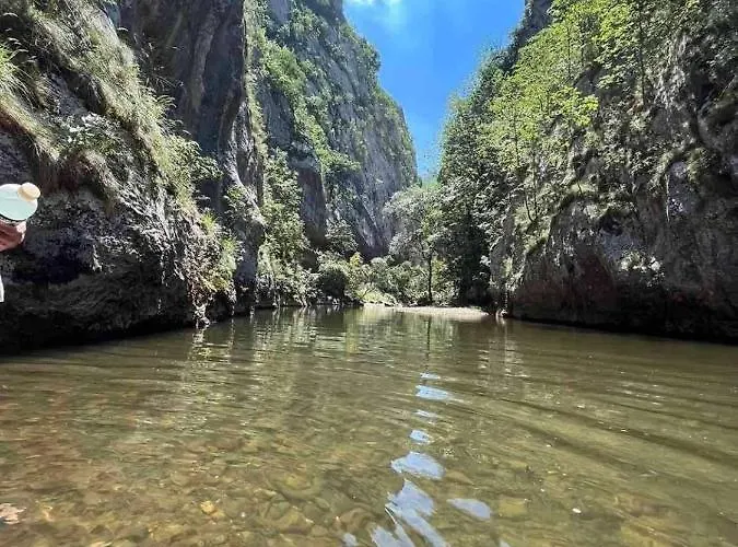 Odmaraliste Vlasko Zdrelo Пирот