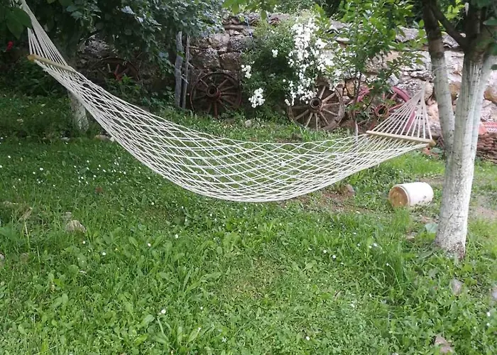 Odmaraliste Vlasko Zdrelo * Пирот